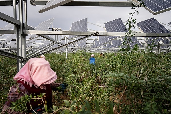 China had introduced strict regulations in recent years, prohibiting the installation of solar panels on fertile agricultural lands.