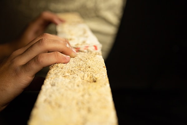 The company has developed a new material named ORB (Organic Waste Biocomposite), in addition to insulation panels.