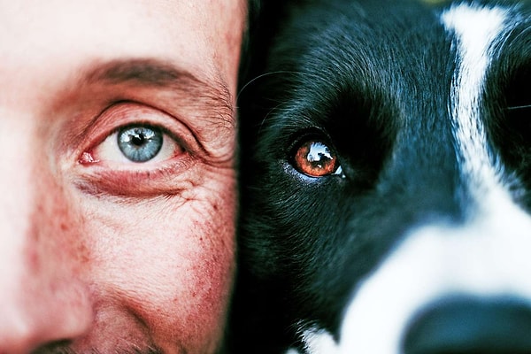 Köpeklerin yalnızca siyah-beyaz gördüğü düşüncesi, hayvanların renk algısına dair eski ve eksik bilgilerden beslendi.