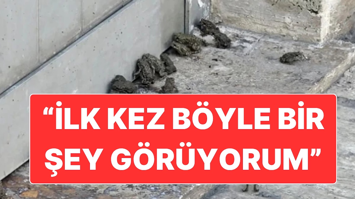 Sivas’ta Etkili Olan Yağış Sonrasında Yolları ve Akaryakıt İstasyonunu Kurbağalar Bastı