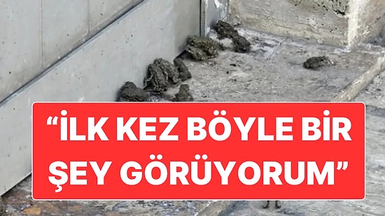 Sivas’ta Etkili Olan Yağış Sonrasında Yolları ve Akaryakıt İstasyonunu Kurbağalar Bastı