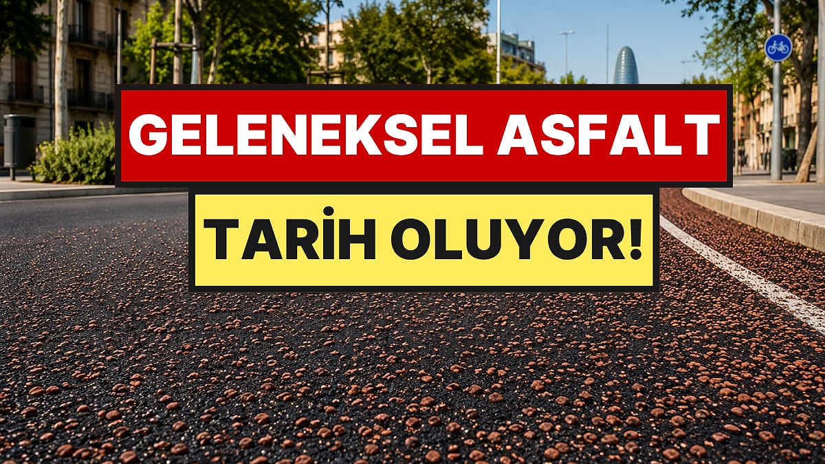 İspanya'dan devrim: Zeytin çekirdekleriyle asfalt döşenecek