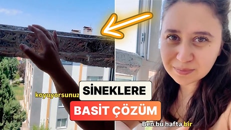 Bir Kadın Evi Sinek İstilasından Uzak Tutmanın Alüminyum Folyolu Basit Yolunu Paylaştı