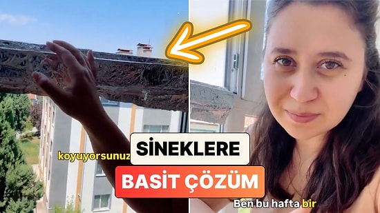 Bir Kadın Evi Sinek İstilasından Uzak Tutmanın Alüminyum Folyolu Basit Yolunu Paylaştı