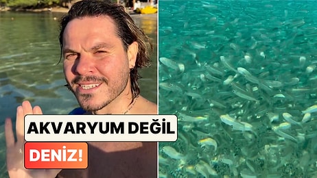 Fethiye Koylarında Denizin Altını Kaplayan Muhteşem Balık Sürüsü Görsel Şölen Oluşturdu