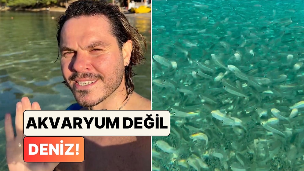 Fethiye Koylarında Denizin Altını Kaplayan Muhteşem Balık Sürüsü Görsel Şölen Oluşturdu