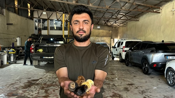 Yüksekova’nın Yeşildere Mahallesi'nde yıllardır oto yıkama esnaflığı yapan Sedat Çelik’in hayatı, bir akşam evinde izlediği doğa ve hayvancılık belgeseliyle tamamen değişti.