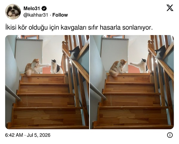 😻