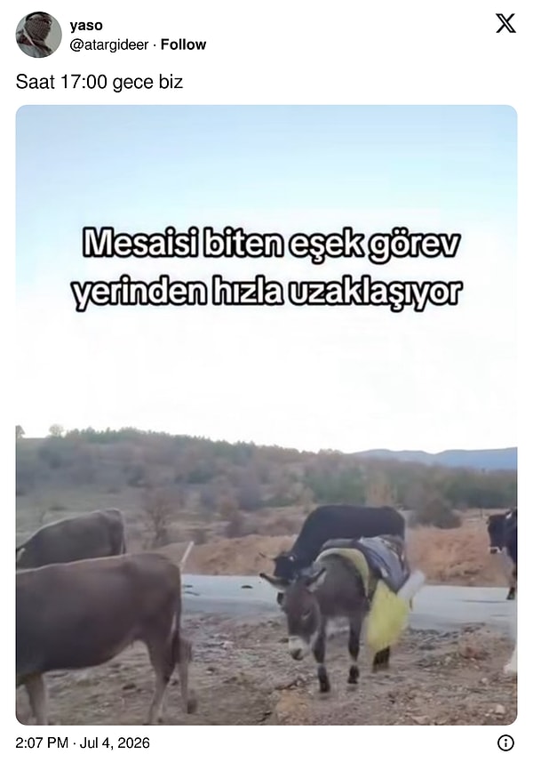 Ne yapacaktı?