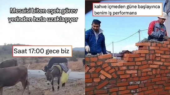 Gerçek Anlamda “Sıfırdan” Başlayandan Mesaisi Biten Eşeğe Son 24 Saatin Viral Tweetleri