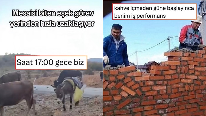 Gerçek Anlamda “Sıfırdan” Başlayandan Mesaisi Biten Eşeğe Son 24 Saatin Viral Tweetleri
