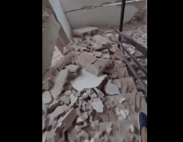 Köpeklerin ilaçları bu kadar kolay fark etmesinin arkasında tamamen evrimsel ve biyolojik gerçekler yatıyor.