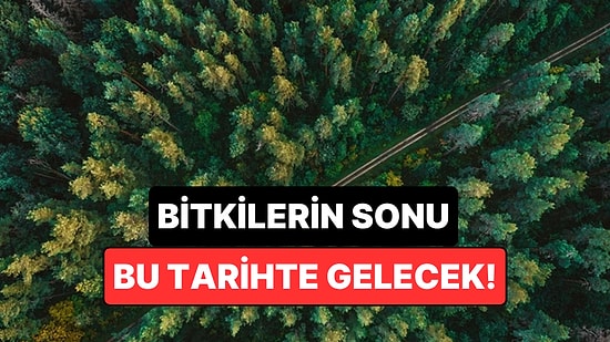 Dünya'daki Bitki Yaşamının Sonu İçin Tarih Verildi