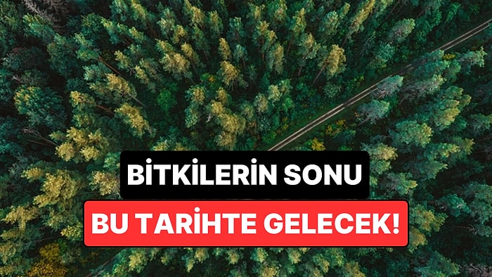 Dünya'daki Bitki Yaşamının Sonu İçin Tarih Verildi