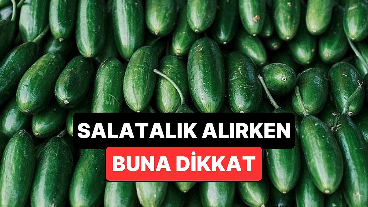 Salatalık Alırken Dikkat Etmeniz Gereken Tek Şey Açıklandı