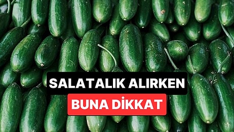 Salatalık Alırken Dikkat Etmeniz Gereken Tek Şey Açıklandı