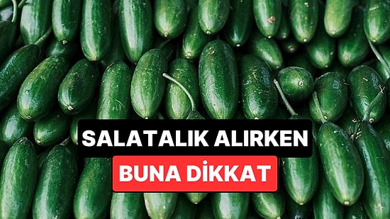 Salatalık Alırken Dikkat Etmeniz Gereken Tek Şey Açıklandı