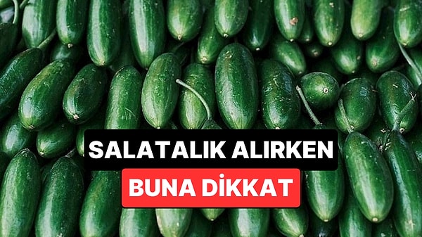 Salatalık Alırken Dikkat Etmeniz Gereken Tek Şey Açıklandı