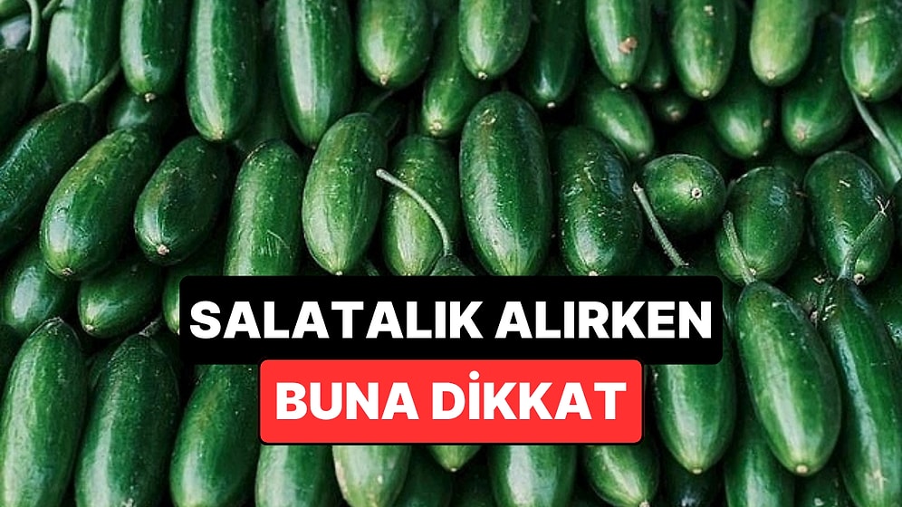 Salatalık Alırken Dikkat Etmeniz Gereken Tek Şey Açıklandı