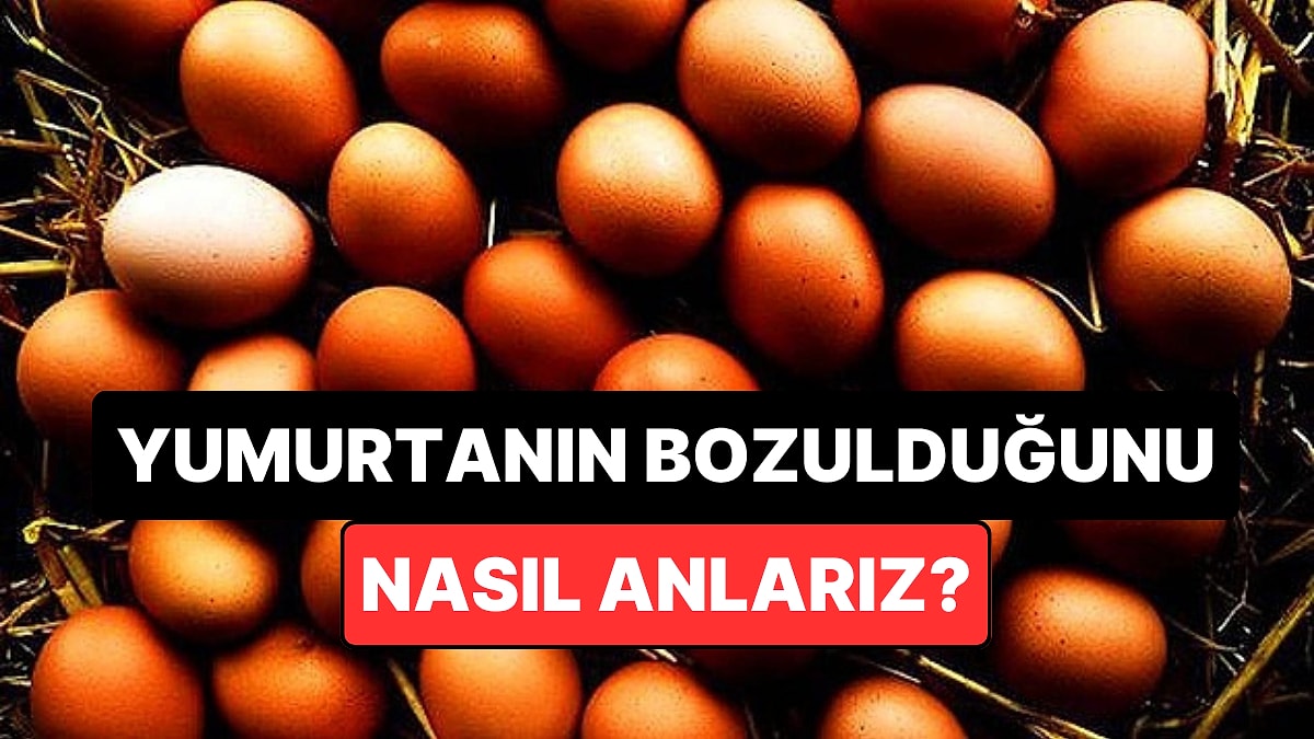 Yumurtanın Taze Olup Olmadığını Anlamanın En Pratik Yolu Açıklandı