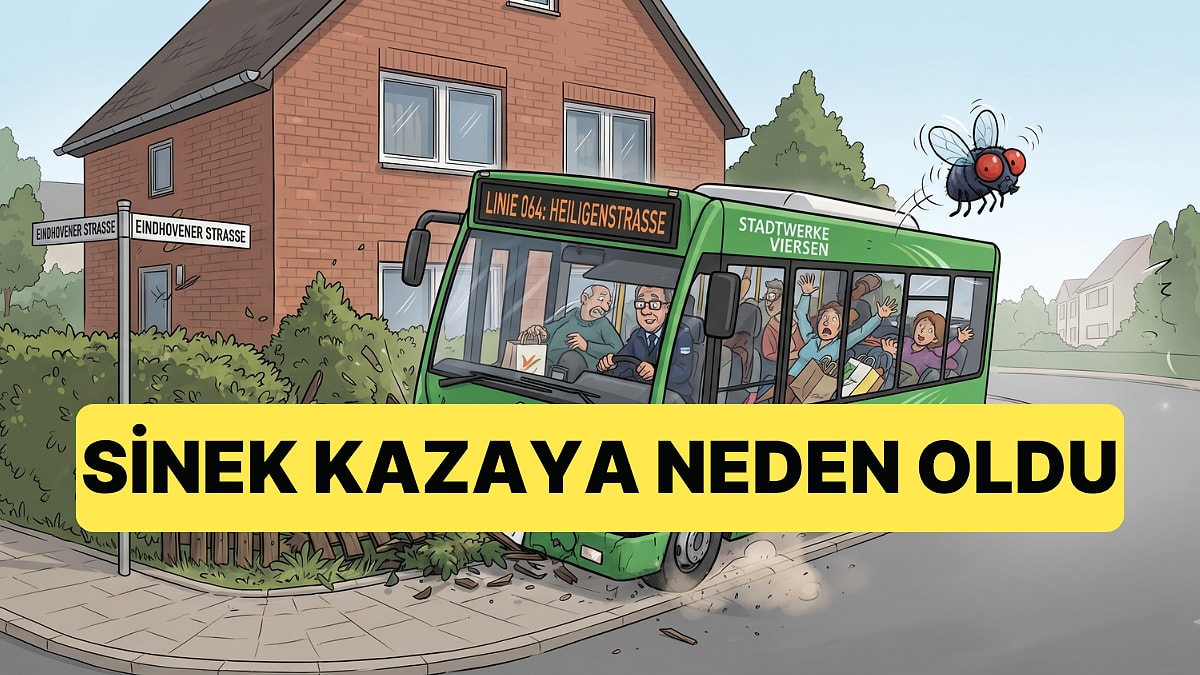 Almanya'da Bir Toplu Taşıma Aracında Sinek Kazaya Neden Oldu, Otobüste Yaralılar Var