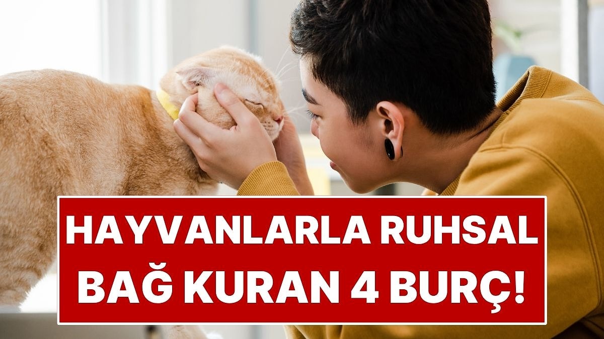 Hayvanlarla Ruhsal Bağ Kuran 4 Burç!
