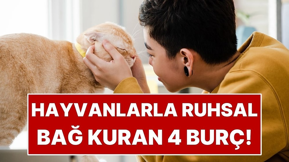 Hayvanlarla Ruhsal Bağ Kuran 4 Burç!