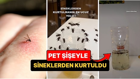 Sineklerden Kurtulmanın En Ucuz Yolu: Pet Şişeden Sinek Kapan
