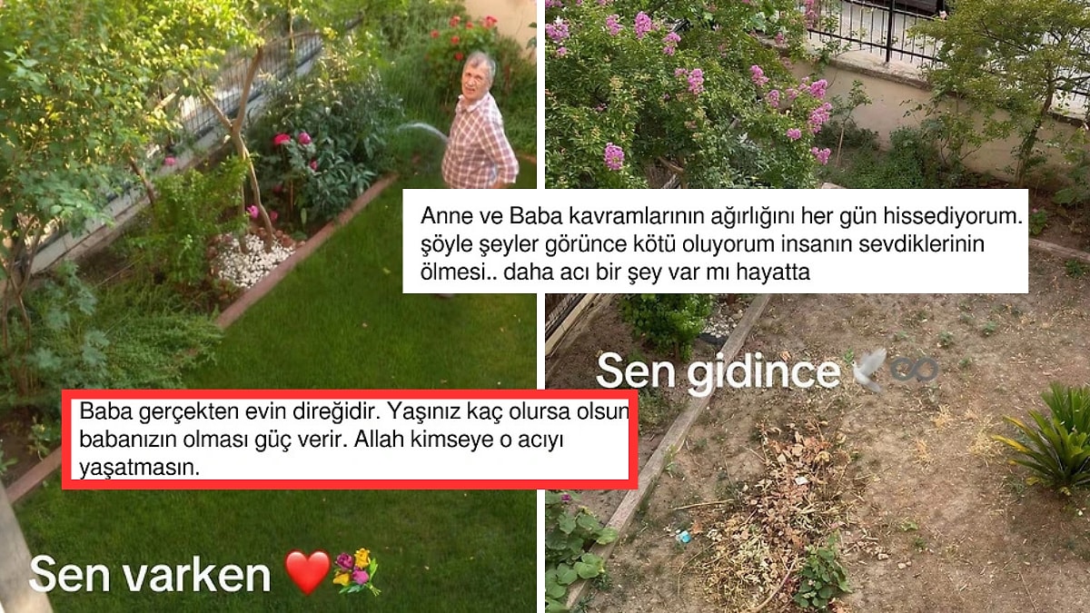 Babasının Vefatından Sonra Bahçenin Son Halini Paylaşan Kullanıcı Viral Oldu