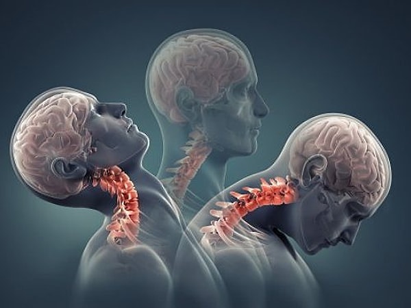 Biyolojimiz Ekranlara Uyarlanıyor