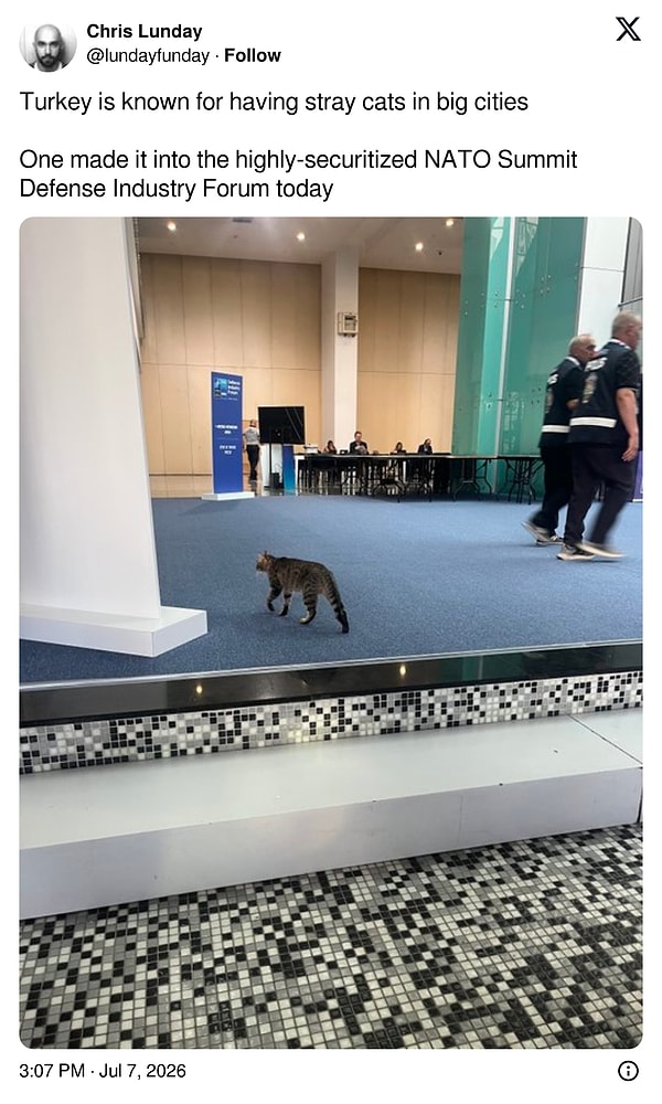 "Bugün bir kedi, yüksek güvenlikli NATO Zirvesi Savunma Sanayi Forumu'na sızdı."