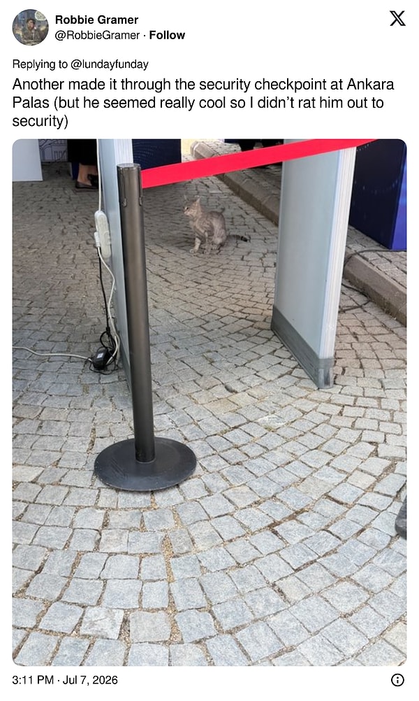 "Onu güvenliğe ispiyonlamadım."