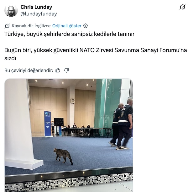 Kedilerden bahsetmesek olmaz...