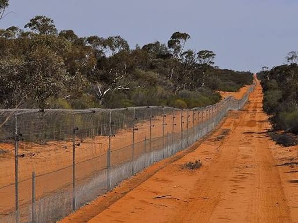 Yakın zamanda Queensland bölgesinde yaşanan büyük bir muson felaketinde, Taravale çiftliğine sadece 3 günde 1500 milimetrenin üzerinde yağış düştü.