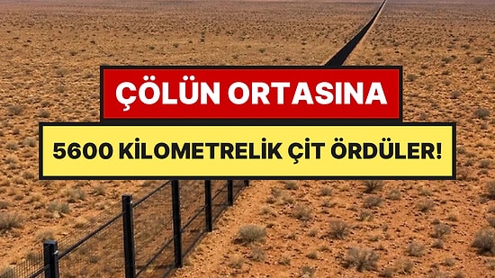Çölün Ortasına İstilacılara Karşı 5 Bin 600 Kilometrelik Çit Ördüler
