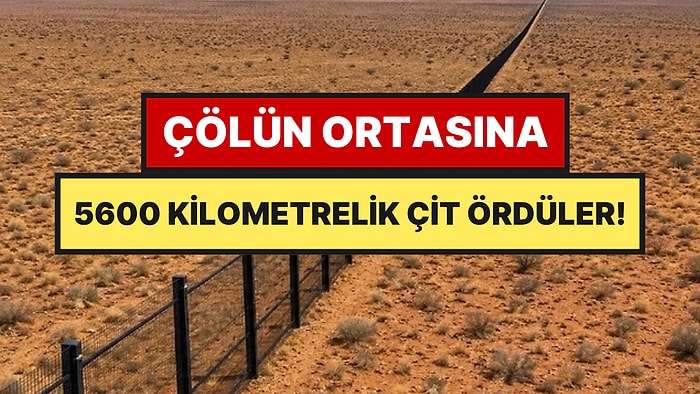 Çölün Ortasına İstilacılara Karşı 5 Bin 600 Kilometrelik Çit Ördüler
