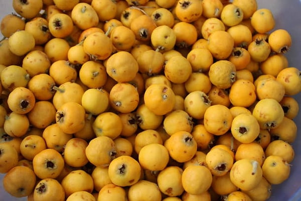 How to Make Homemade Hawthorn Vinegar?