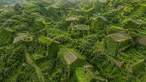 Çin'in Zhejiang eyaletine bağlı Shengshan Adası'nda bulunan Houtouwan Köyü, terk edildikten sonra doğanın kontrolüne geçen en dikkat çekici yerleşimlerden biri haline geldi.