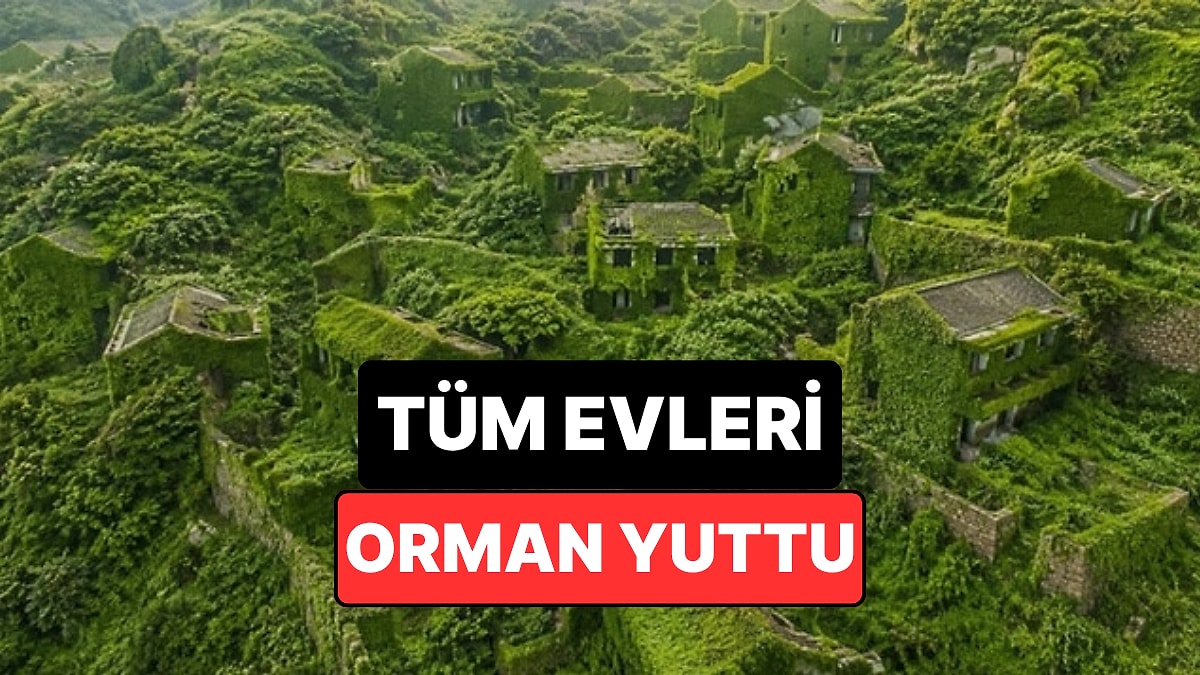 Bir Zamanlar Binlerce Kişi Yaşıyordu: Şimdi Tüm Evleri Orman Yuttu