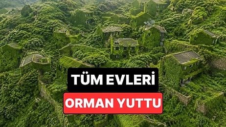 Bir Zamanlar Binlerce Kişi Yaşıyordu: Şimdi Tüm Evleri Orman Yuttu
