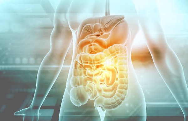 Gut Health Determines Your Quality of Life!