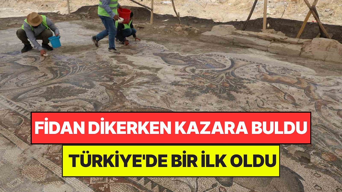 Fidan Dikerken Tam 1700 Yıllık Dev Eser Buldu: Türkiye'de Bir İlk Oldu