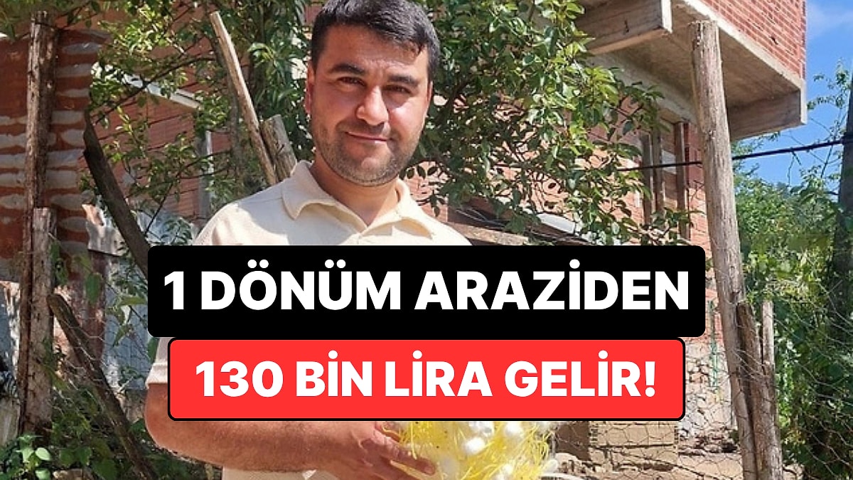 5 Günlük Emekle 130 Bin Lira Gelir Elde Etti: Bu Yöntemle Pasif Gelir Yarattı