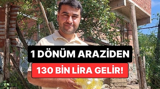 5 Günlük Emekle 130 Bin Lira Gelir Elde Etti: Bu Yöntemle Pasif Gelir Yarattı