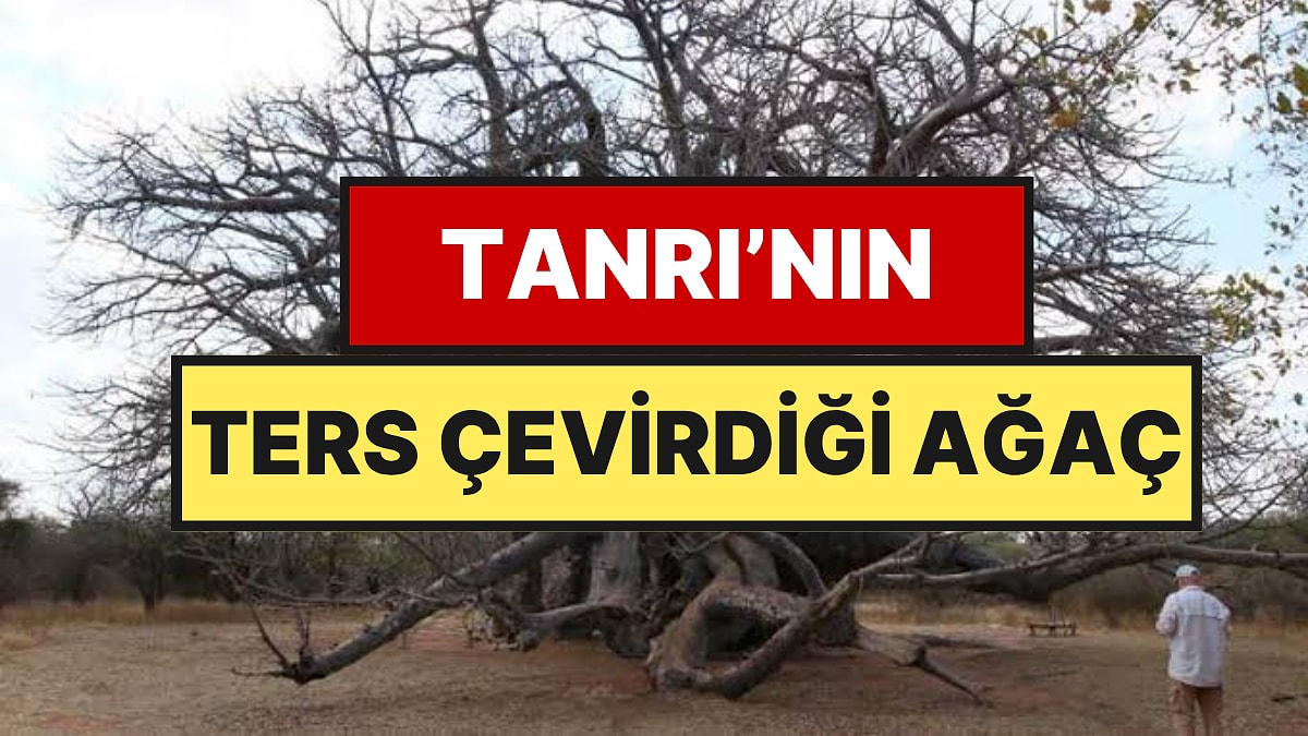 Rüzgar Esince Aslan Gibi Kükrüyor: İçinde 4 Bin 500 Litre Suyu Var