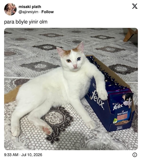 Başlayalım!