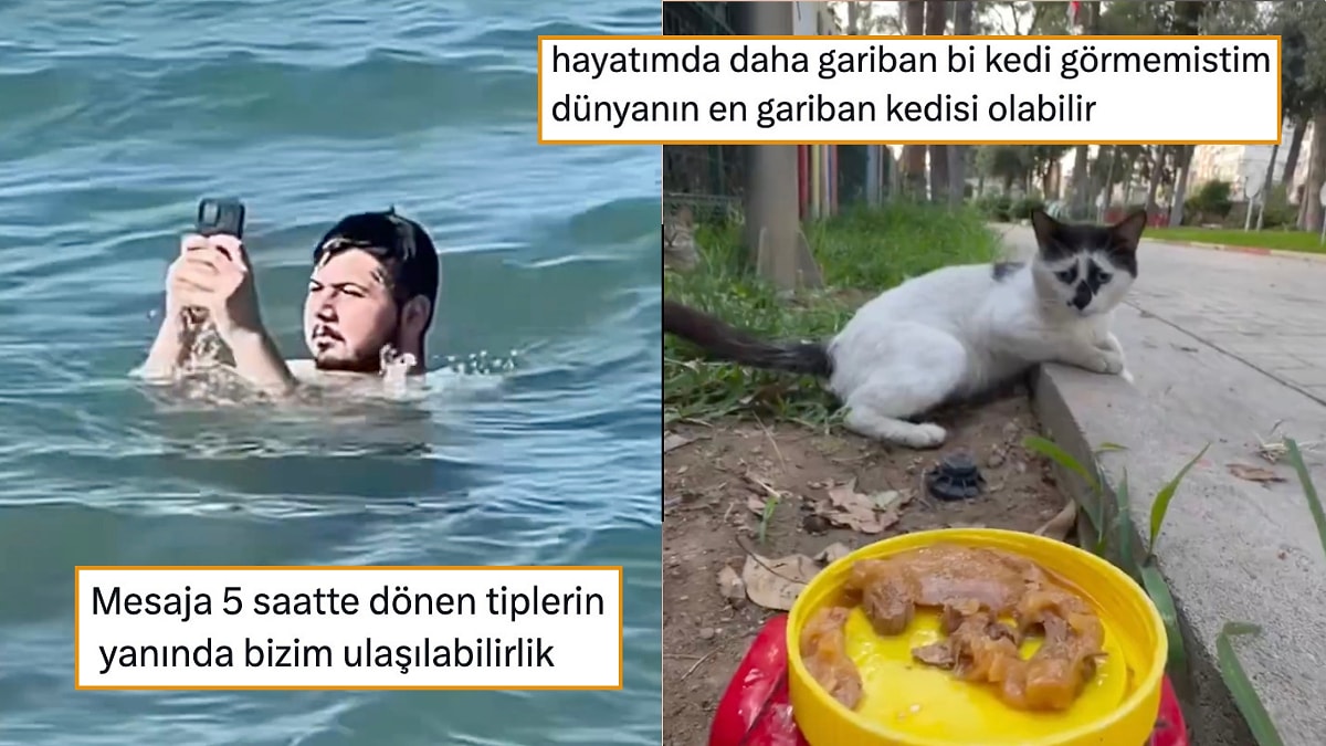 Dünyanın En Gariban Kedisinden Bitmeyen NATO Mizahına Son 24 Saatin Viral Tweetleri