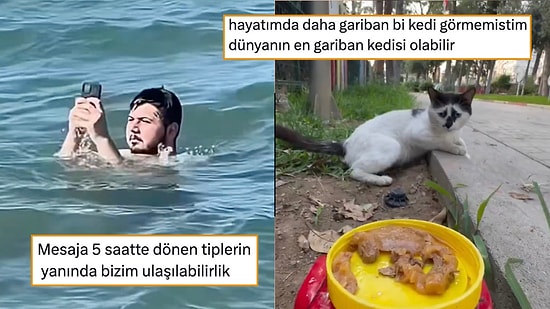 Dünyanın En Gariban Kedisinden Bitmeyen NATO Mizahına Son 24 Saatin Viral Tweetleri