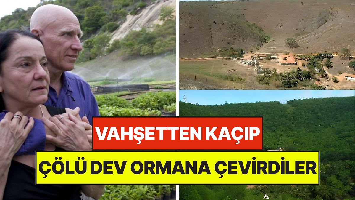 Tek Başlarına 2 Milyon Ağaç Dikerek Dev Ormanı Hayata Döndüren Çiftin Trajik Hikayesi