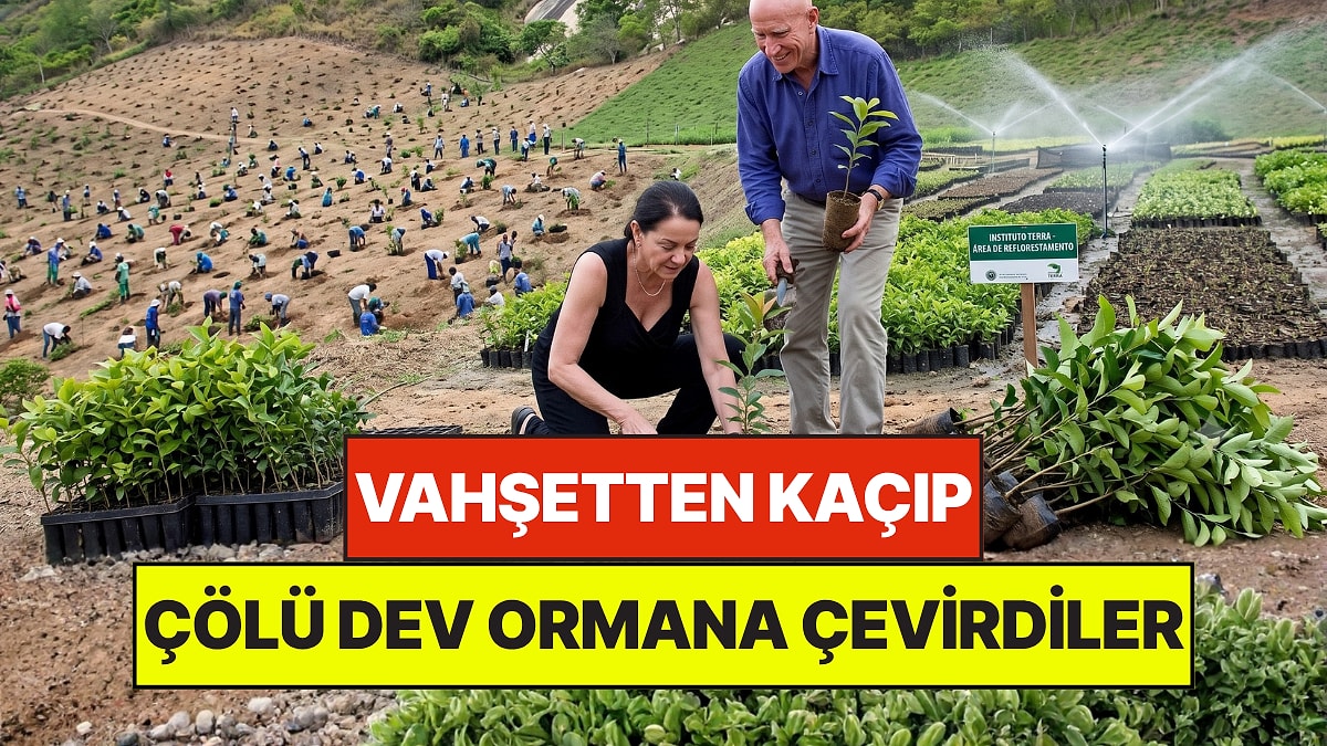 Tek Başlarına 2 Milyon Ağaç Dikerek Dev Ormanı Hayata Döndüren Çiftin Trajik Hikayesi